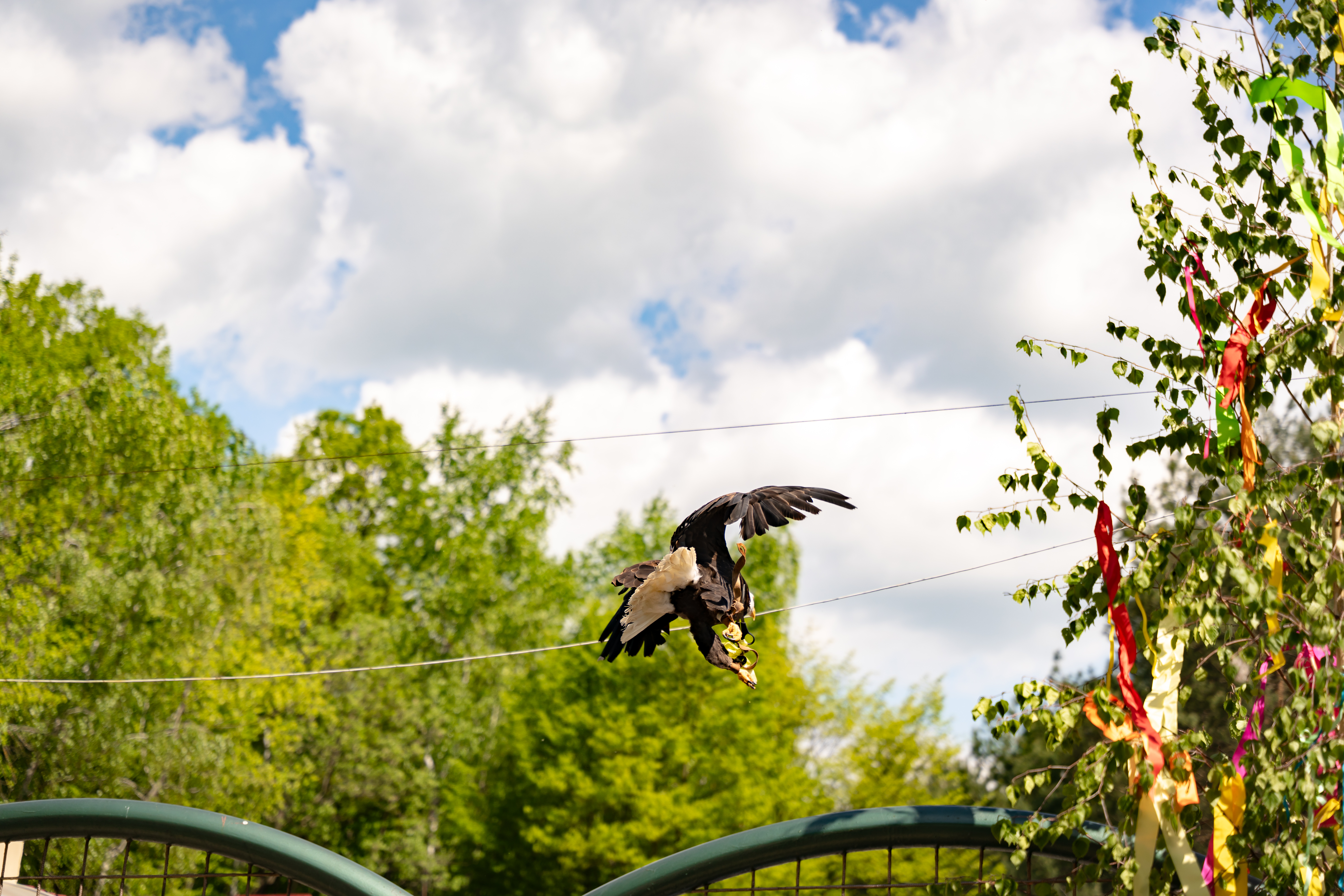 Slavnostne odomykanie brany ZOO Kosice-6